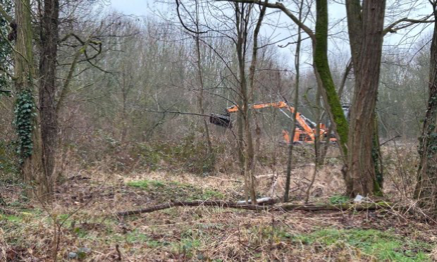 Mise à jour de la pétition SAUVONS LE BOIS DE VINCENNES