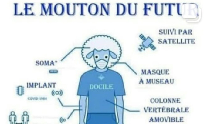 P Tition Contre Le Port Du Masque Obligatoire Dans Les Lieux Publics Clos