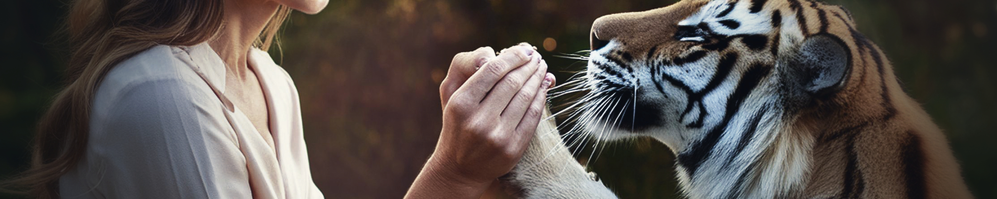 Actu animale