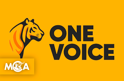 One Voice : l’association emblématique et engagée pour la défense des animaux