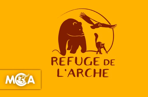 Refuge de l’Arche : l’association mobilisée pour la protection des animaux et leur bien être