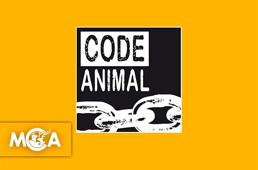 Découvrez Code Animal : l’association engagée pour le respect des droits des animaux !