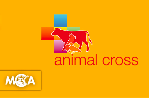 Animal Cross : une association au service de tous les animaux