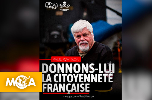 Paul Watson : une pétition de Sea Shepherd pour sa citoyenneté française