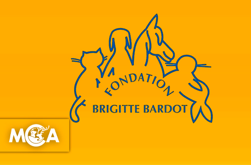 Fondation Brigitte Bardot : le combat d’une icône, le combat d’une vie !