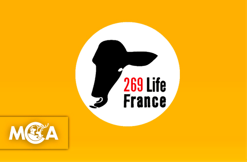 269 Life France : entre abolitionnisme et antispécisme, elle ne recule devant rien !