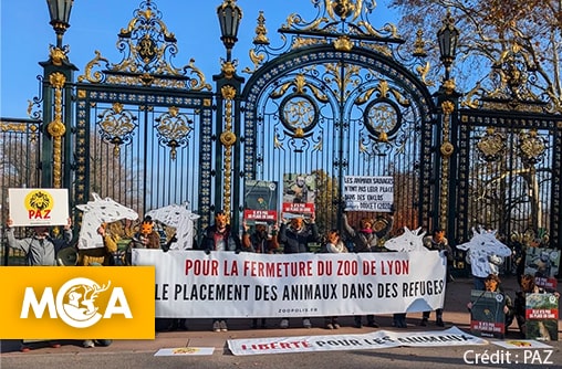 PAZ manifeste devant les grilles du Zoo de Lyon pour demander sa fermeture