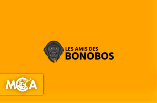 Les Amis des Bonobos : un objectif, leur survie !