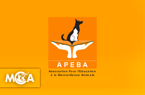 Association APEBA : Ensemble pour sauver les animaux de l’île de La Réunion !