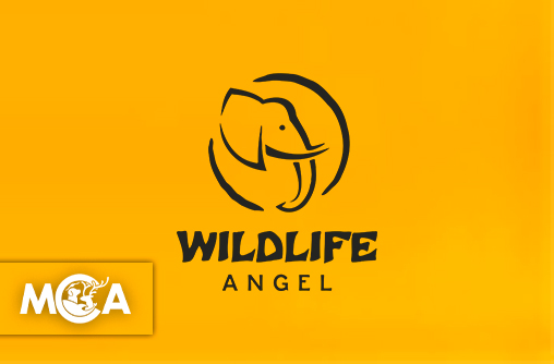 Wildlife Angel : en première ligne contre le braconnage