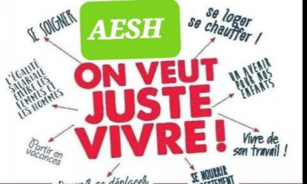 Pétition : Une AESH pour chaque élève notifié d'un salaire décent et d'un statut !