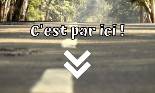 Pétition : Halte au bitume et aux centrales d'enrobage à chaud !