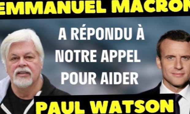 Pétition : Emmanuel Macron doit demander la libération de Paul Watson !