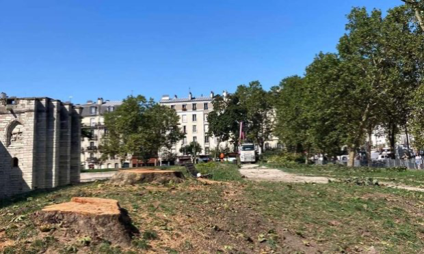 Pétition : Sauvons les arbres d’alignement du Château de Vincennes.