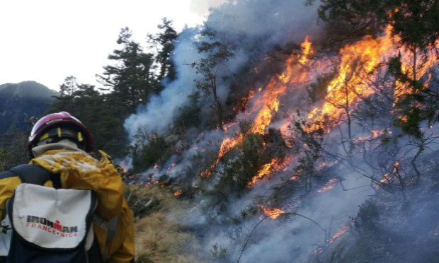 Pétition : Sauvons nos forêts !