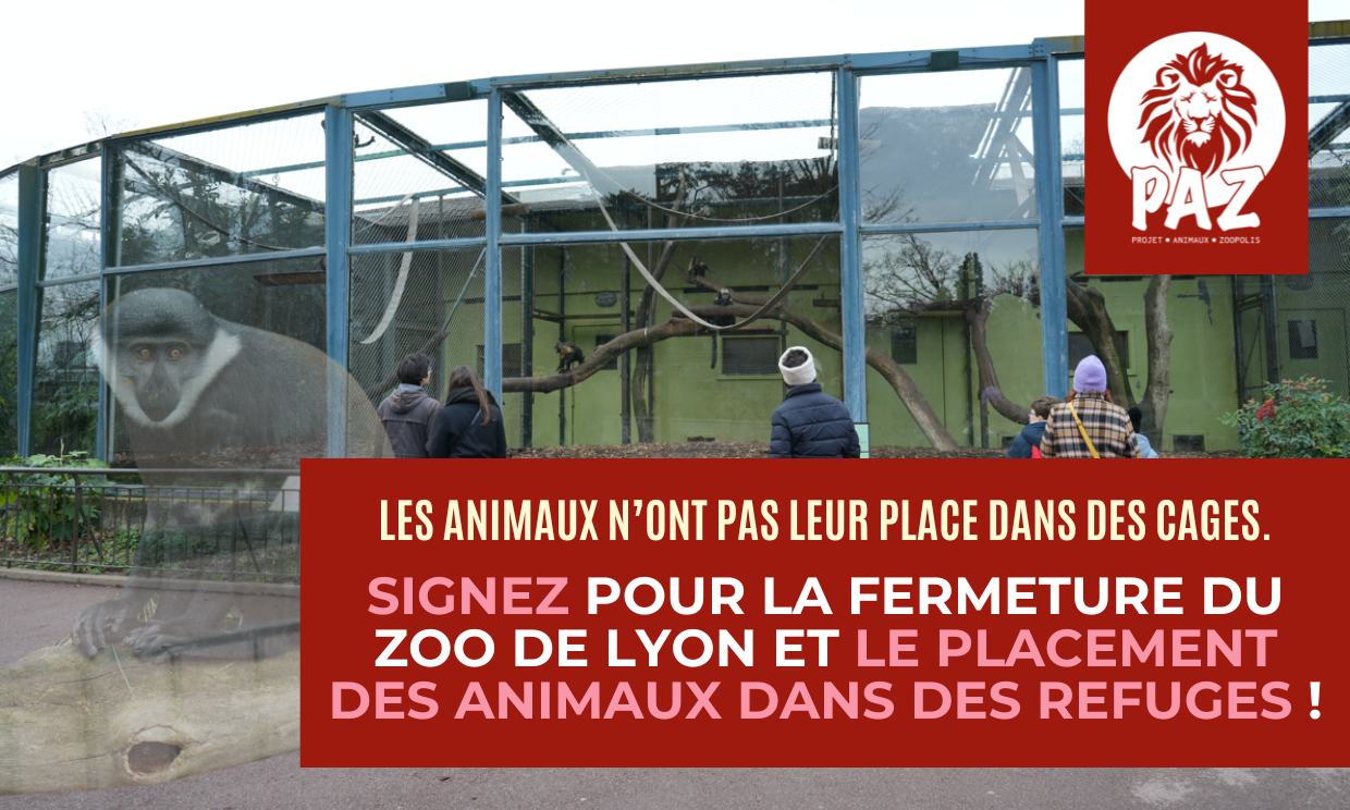 Pour la fermeture du zoo de Lyon et le placement des animaux dans des refuges