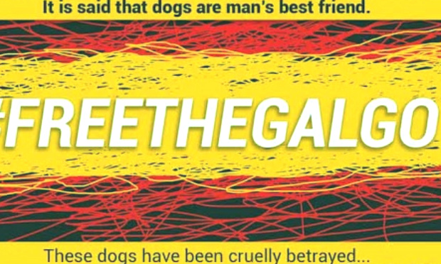 L'Espagne, l'un des pires pays de l'UE en terme de cruauté animale/Spain is one of the worst countries in animal cruelty in E.U.