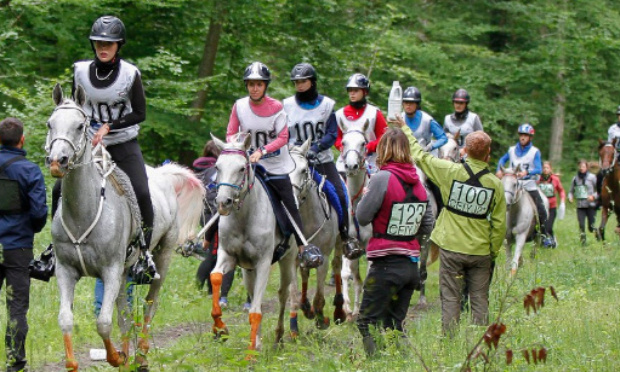 STOP à la dictature de la FEI en Endurance Equestre !/Stop the dictatorship of the FEI in endurance riding !