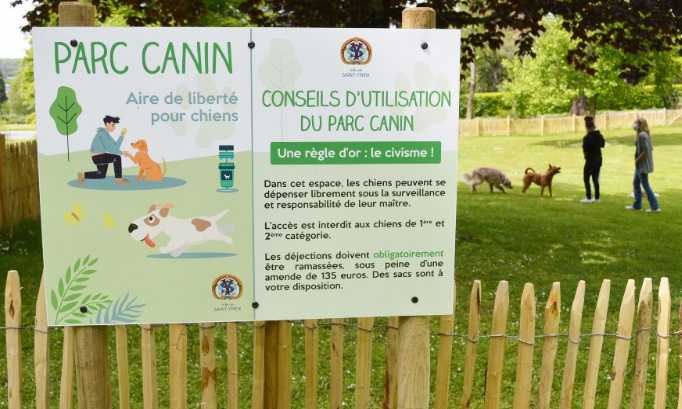 Construire un parc à chiens dans votre jardin