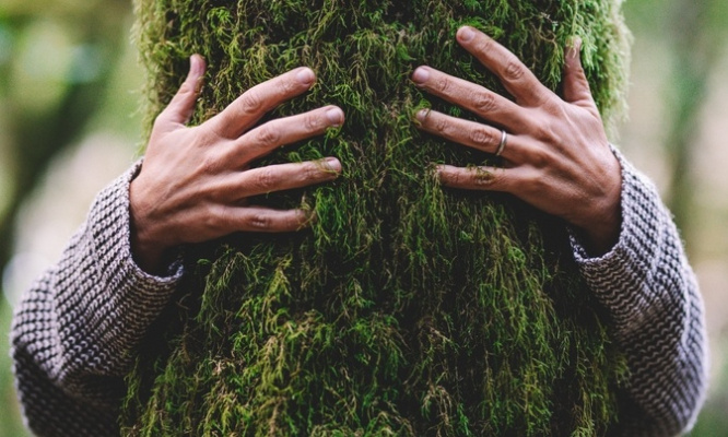 Pour la protection de l'environnement : de réelles mesures !