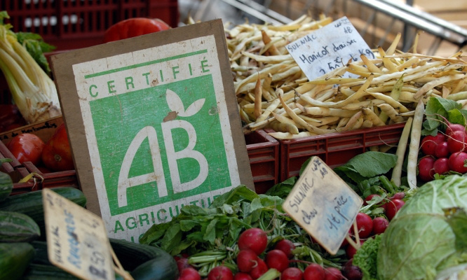 Agriculture Biologique en danger face aux menaces politiques et économiques : agissons !