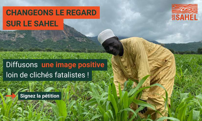 Pour une image positive du Sahel, loin des clichés fatalistes !