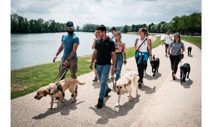 Ensemble, œuvrons pour remettre un chien guide à chaque aveugle