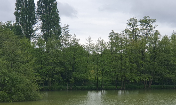 Non à l'urbanisation des abords de l'étang de Saint Gilles (35590) !