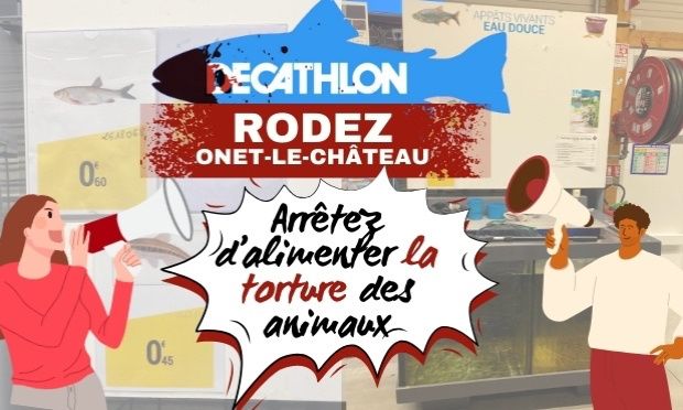 Decathlon Rodez Onet-Le-Château : arrêtez d’alimenter la torture des animaux