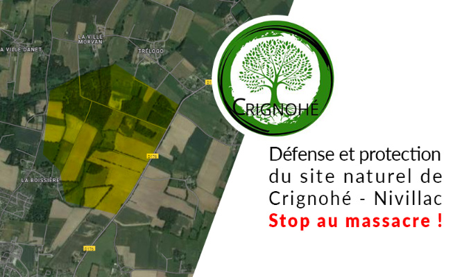 STOP AU MASSACRE DU SITE NATUREL DE CRIGNOHÉ À NIVILLAC !