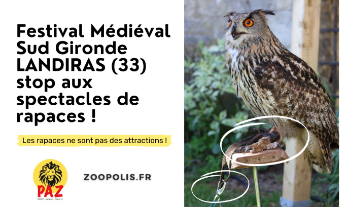 Festival Médiéval Sud Gironde (Landiras) : STOP aux spectacles de rapaces !