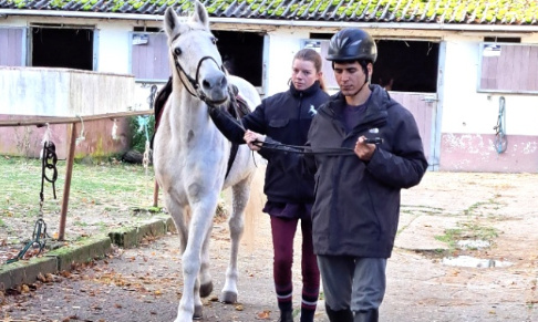 Impliquer l'Etat dans le bien-être dû aux personnes en situation de handicap