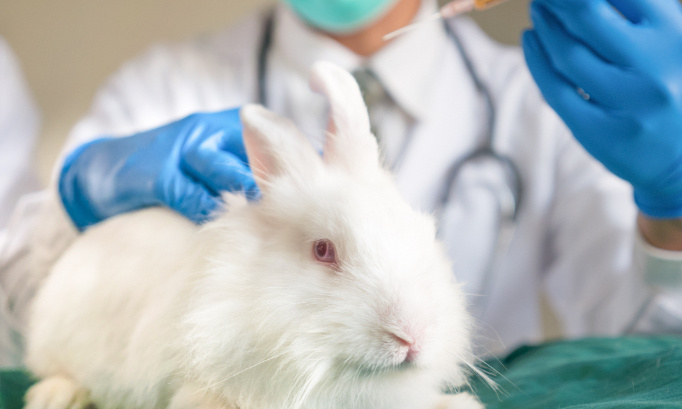 Arrêtez les expériences en laboratoire sur les souris et les lapins.