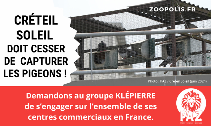 Créteil Soleil doit cesser de capturer des pigeons !