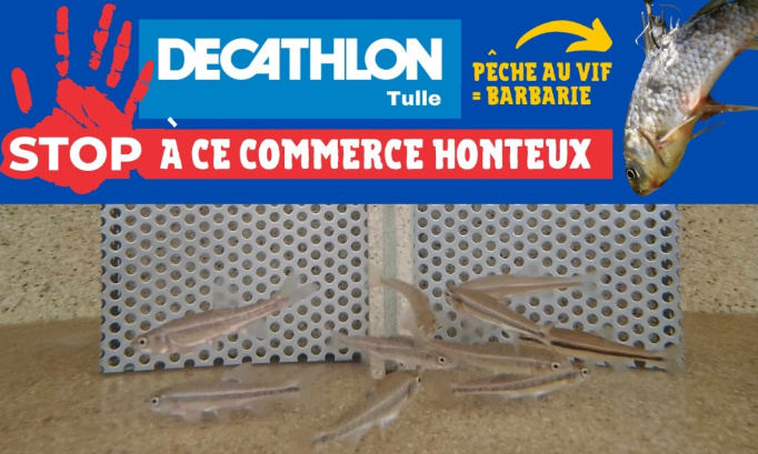 Decathlon Tulle : stop à ce commerce cruel