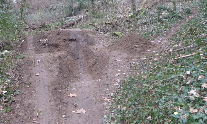 dégradation "bois de la caille" protégé à Caluire. Urgent !