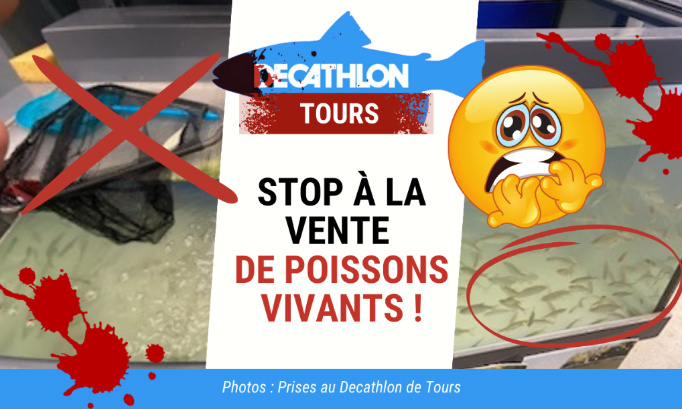 Decathlon Tours : stop à la vente de poissons vivants !