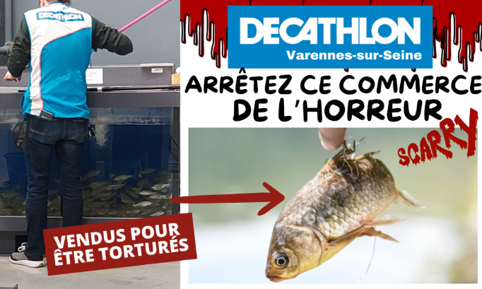 Decathlon Varennes-sur-Seine : arrêtez ce commerce de l’horreur !