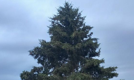 Pour pouvoir continuer de vivre en harmonie avec la nature à Saint-Pathus