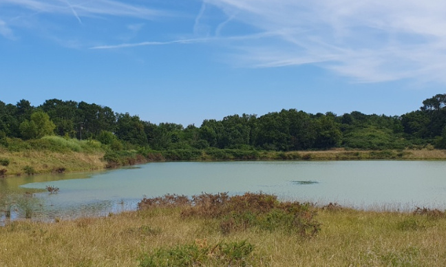 Non à la destruction de la carrière visant a décimer la biodiversité de St Genis-du-Bois