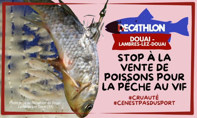 Decathlon Douai - Lambres-lez-Douai  : stop à la vente de poissons pour la pêche au vif