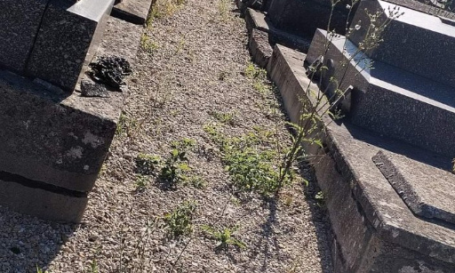 L'entretien des cimetières de Provins