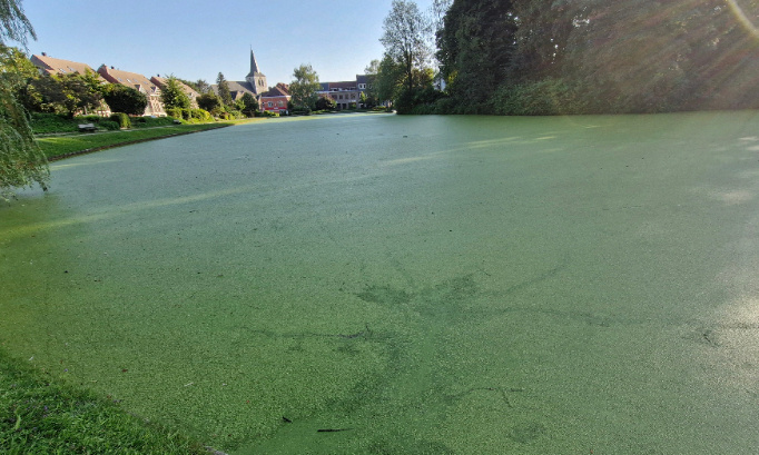 MARRE DE LA POLLUTION DU PARC