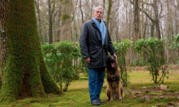 Contre l'euthanasie de Loubo, le chien d'Alain Delon !