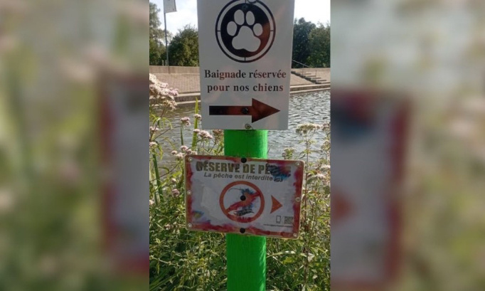 Pour l'interdiction de la pêche sur la zone 'plage réservée aux chiens' au plan d'eau des prades à St Rémy-sur-Durolle !