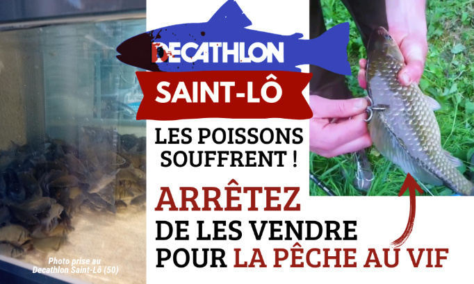 Decathlon Saint-Lô : Les poissons sont des êtres sensibles ! Arrêtez de les vendre pour la pêche au vif !