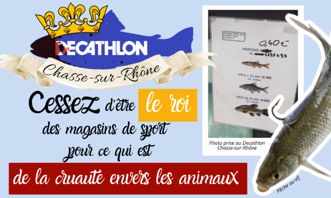 Decathlon Chasse-sur-Rhône : cessez d’être le roi des magasins de sport pour ce qui est de la cruauté envers les animaux.