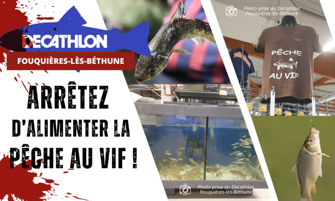 Decathlon Fouquières-lès-Béthune : arrêtez d’alimenter la pêche au vif !