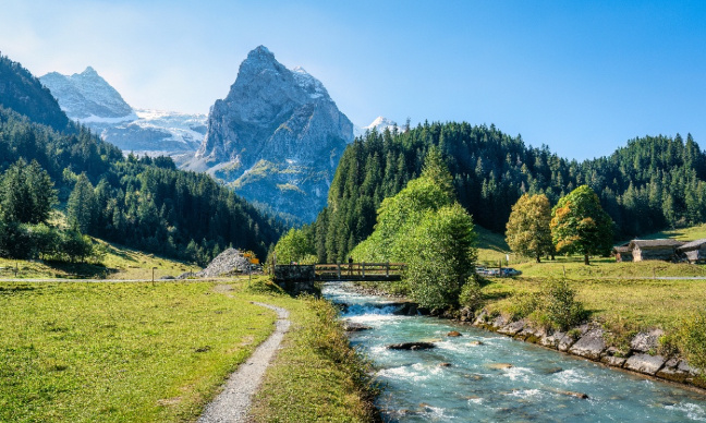 Pétition pour préserver la biodiversité en Valais