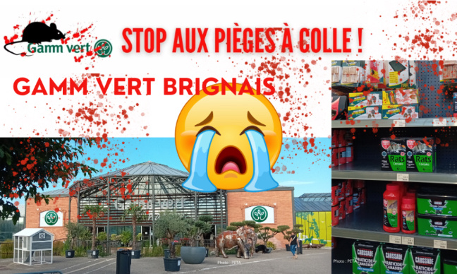 Gamm vert Brignais (69) : Stop aux pièges à colle !